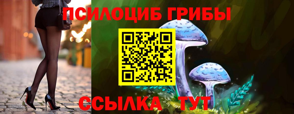 Тавда  Галлюциногенные грибы GOLDEN TEACHER  Вход с VPN 